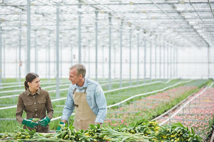 Asesoramiento Mujer y hombre en un huerto industrializado